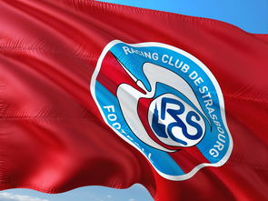 开云体育ios下载-荷兰队在欧洲预赛中继续保持领先优势